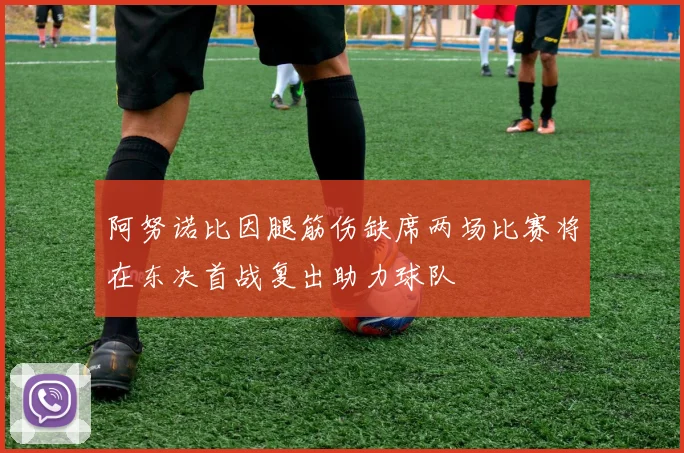 阿努诺比因腿筋伤缺席两场比赛将在东决首战复出助力球队