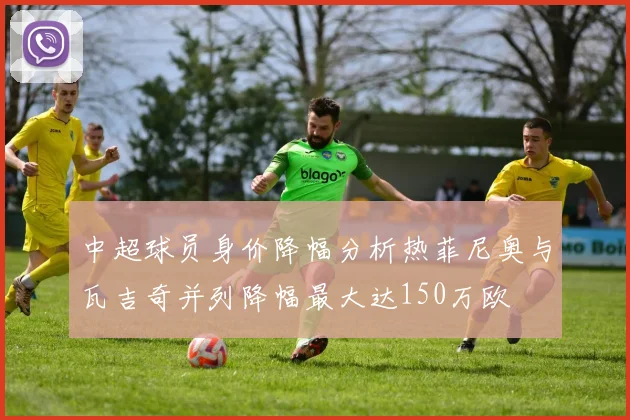 中超球员身价降幅分析热菲尼奥与瓦吉奇并列降幅最大达150万欧